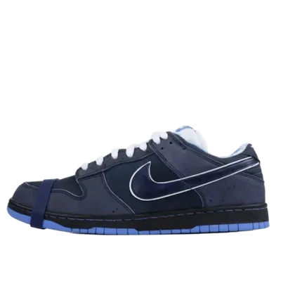 Nike Deep Blue Leather Skate Shoes, Unisex
