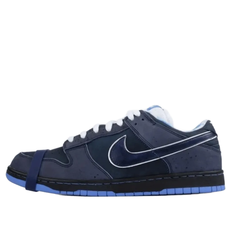 Nike Deep Blue Leather Skate Shoes, Unisex